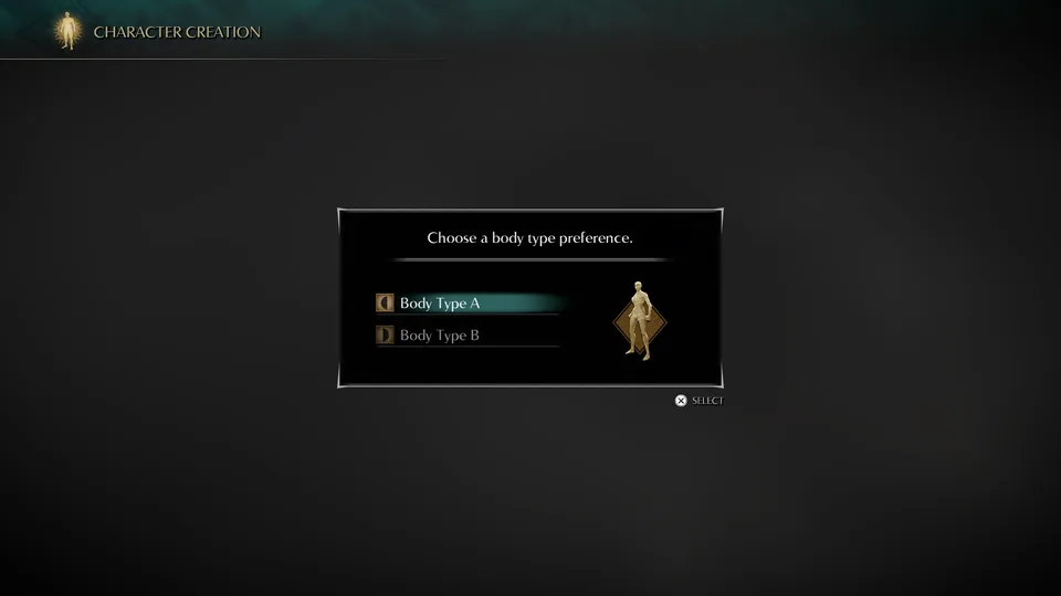 Demon’s Souls character creation chooser on the Linux RADV AnyPS5 bring-up stack